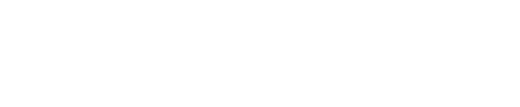 Intexbílá.png